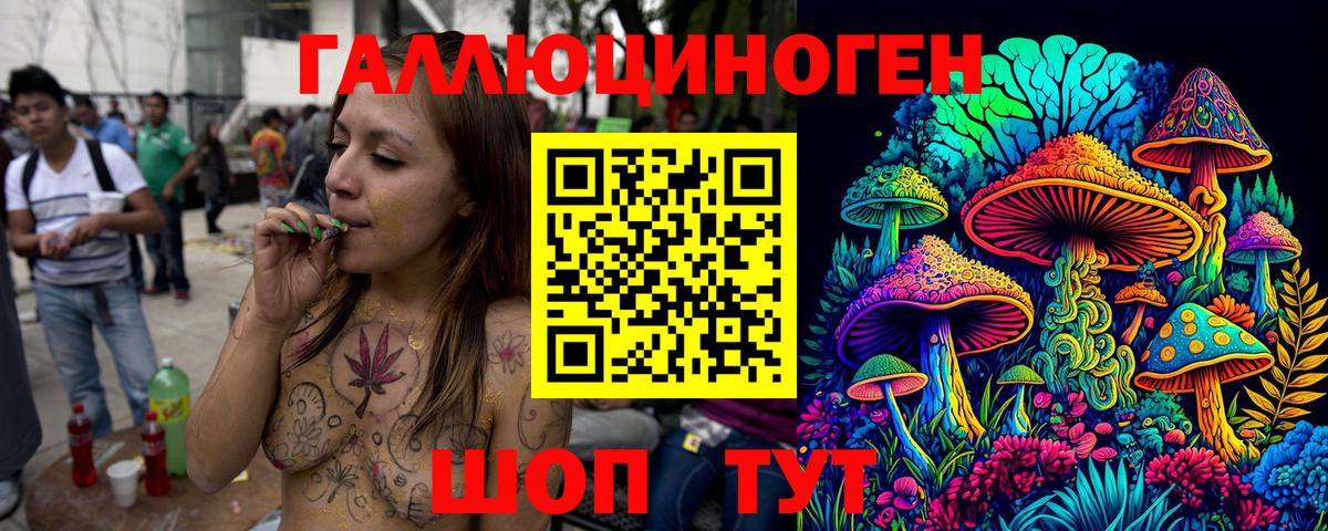Псилоцибиновые грибы Psilocybine cubensis Прохладный