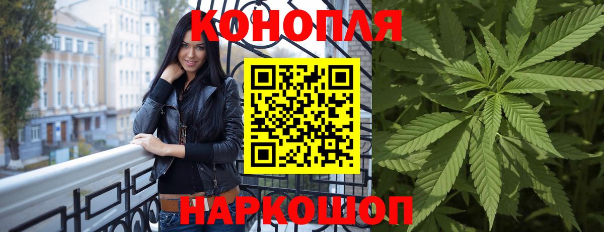 Бошки марихуана конопля  Бошки марихуана сатива  Прохладный  Вход с VPN 